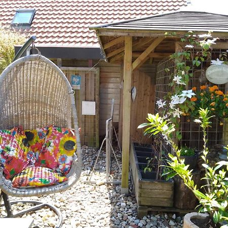 Вилла Tiny House Tulp Oudesluis  Экстерьер фото