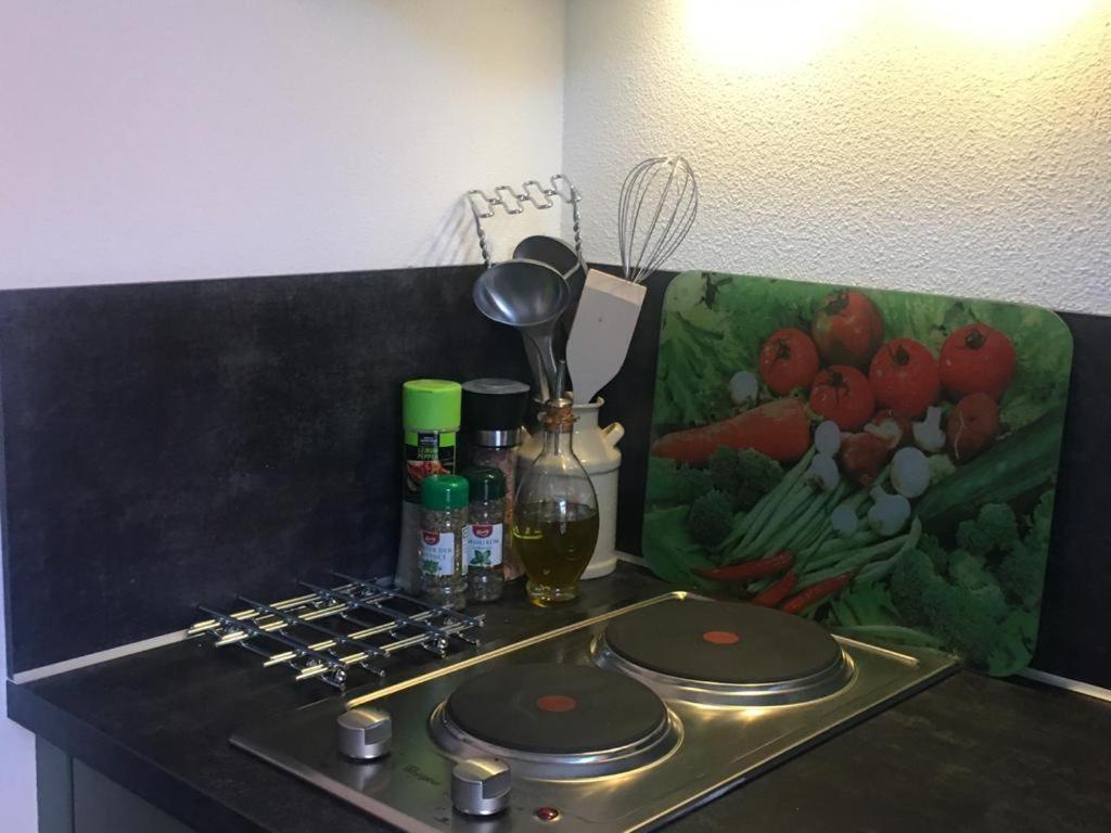 Вилла Tiny House Tulp Oudesluis  Экстерьер фото