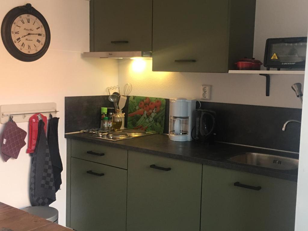 Вилла Tiny House Tulp Oudesluis  Экстерьер фото